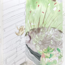 【水彩画】原画「アマガエル」F4：332×242 mm #アマガエル #花 #カエル 3枚目の画像
