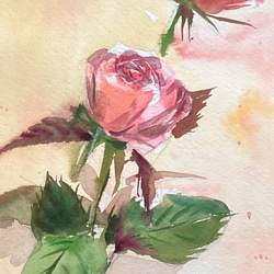 【水彩画】原画「Pink rose 」F4：332×242 mm #薔薇#rose #花 #flower 5枚目の画像