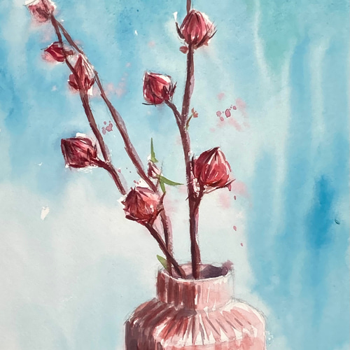 水彩画】原画「ハイビスカスローゼル」F4:332×242 mm 水彩画】原画「ハイビスカスローゼル」F4:332×242 mm