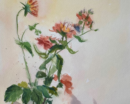 水彩画F6 原画 秋のお花