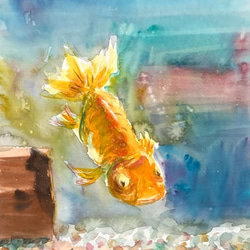 【水彩画】原画「 光の中で 」F4：332×242 mm #金魚 #Goldfish 1枚目の画像