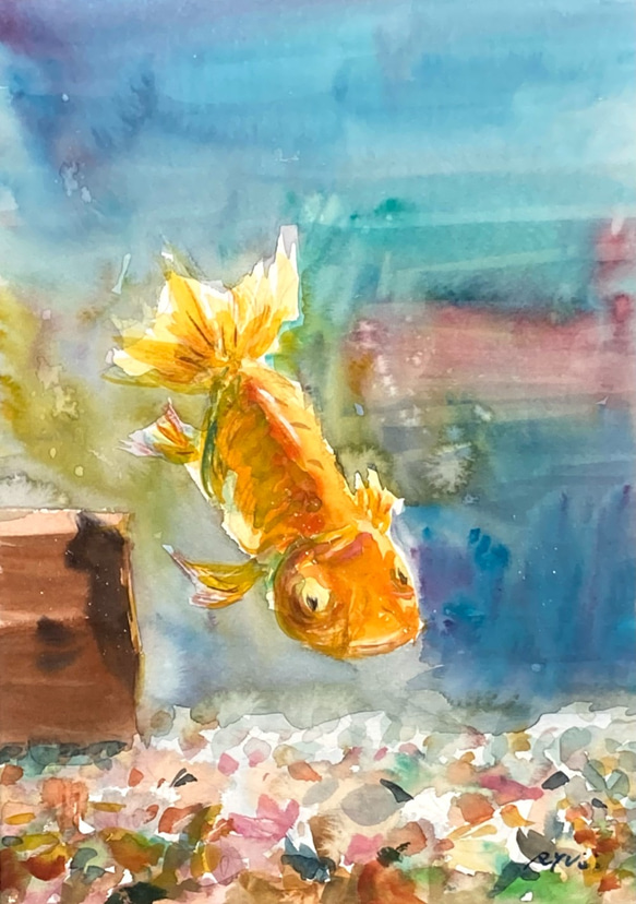 【水彩画】原画「 光の中で 」F4：332×242 mm #金魚 #Goldfish 1枚目の画像