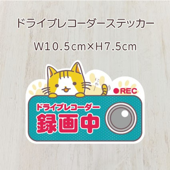 3＊ステッカー＊ドライブレコーダー＊ねこ＊ 1枚目の画像