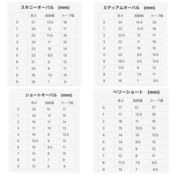 ジェルネイルチップ　10本 3枚目の画像