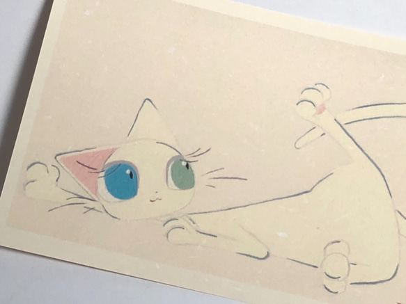 猫のポストカード5枚セット 1枚目の画像