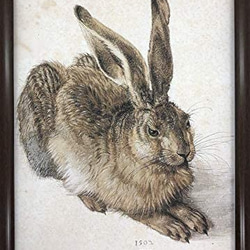 0_3ed58e78af4d0f65b8c86daccf12