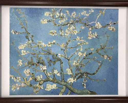 Amazon｜フィンセント・ファン・ゴッホ Vincent Willem van Gogh 「花