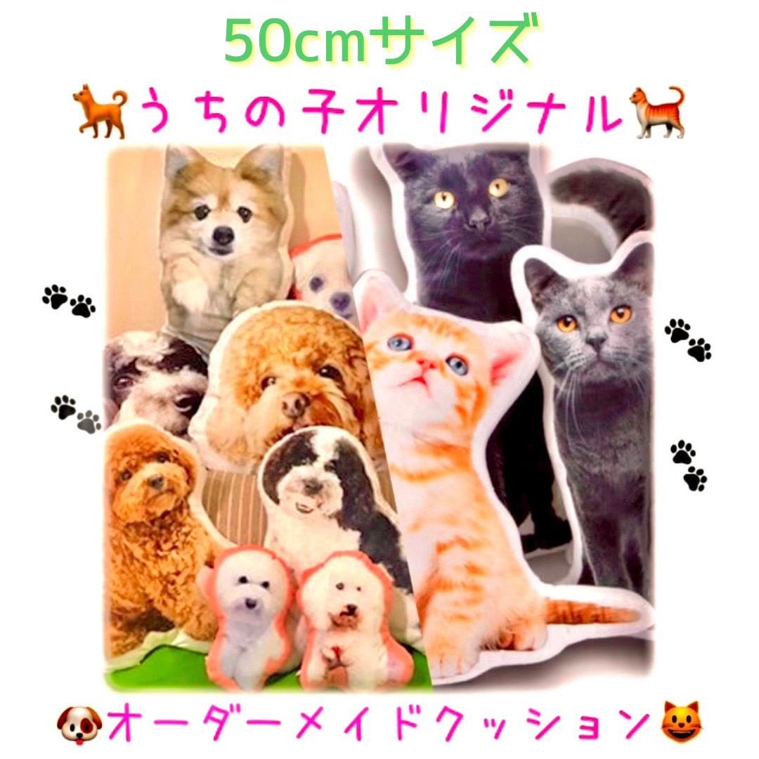 【うちの子 クッション】ペット 写真 犬 猫 鳥 ウサギ ハムスター 写真 オリジナル プレゼント ギフト✨50cm