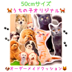 【うちの子 クッション】ペット 写真 オリジナル ✨50cm 1枚目の画像