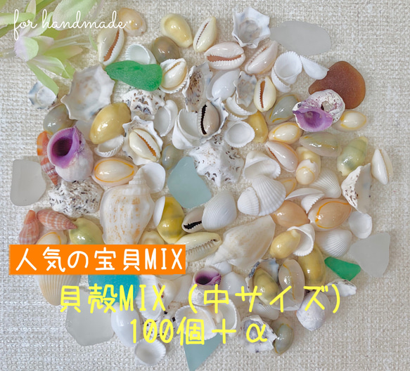 貝殻ミックス（中サイズ）100個＋α◇シーグラスおまけ その他素材 