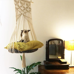 貓吊床鞦韆吊床籃 第2張的照片