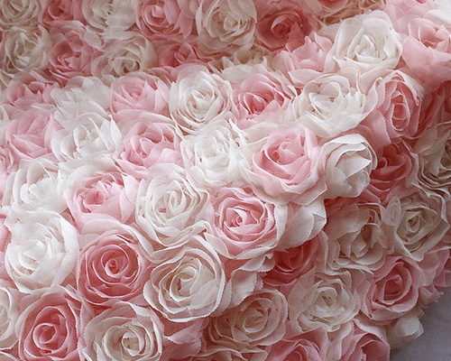 0_8e6f2a1136255b9deb110131759b