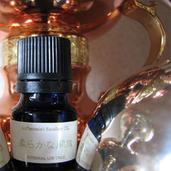 聖なる樹」パロサント 神秘の香木 自然な香り ガラスケースに（7本入り