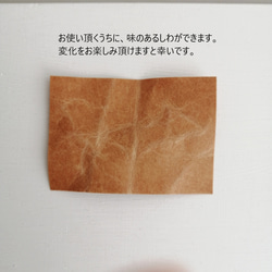紙のコインケース　Sサイズ　ビスター 6枚目の画像