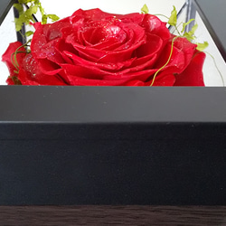真っ赤な薔薇ミラーフレーム 2枚目の画像