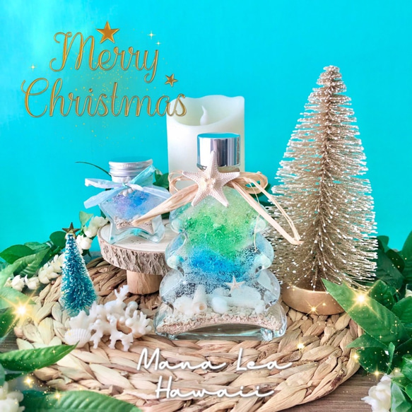 ♡クリスマスツリージェルキャンドル・プルメリア・芳香剤・シェル・サンゴ 1枚目の画像