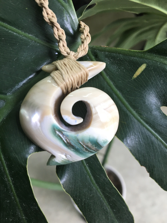 夜光貝ハワイアンフィッシュフック