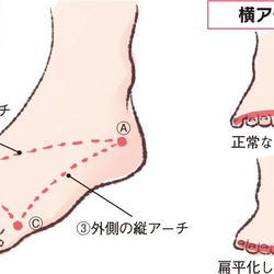 足半草履（前坪四本）　ベース茶色　鼻緒ピンク系 7枚目の画像