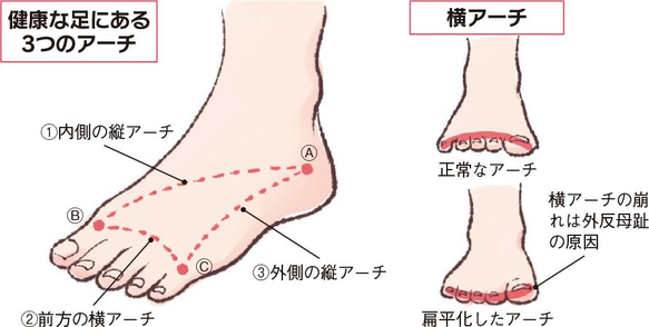 足半草履（前坪四本）　ベース茶色　鼻緒ピンク系 7枚目の画像