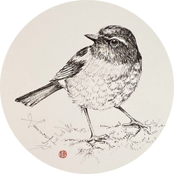 鶯歌陶瓷－吸水杯墊【台灣特有種鳥類系列】一組6枚 第2張的照片