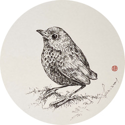 鶯歌陶瓷－吸水杯墊【台灣特有種鳥類系列】一組6枚 第6張的照片