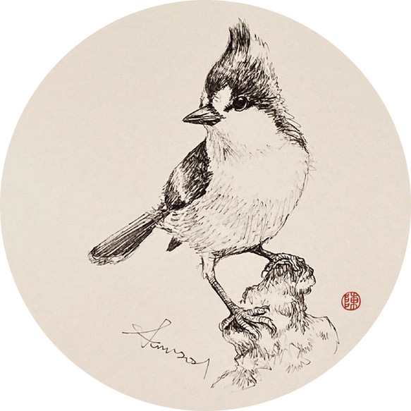 鶯歌陶磁器 吸水コースター【台湾固有の鳥シリーズ】6枚セット 7枚目の画像