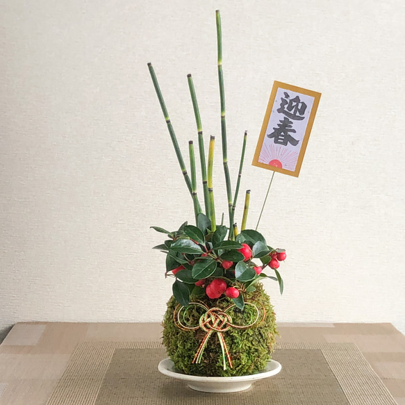トクサ・チェッカーベリーの苔玉 クリスマスからお正月のお部屋を彩る