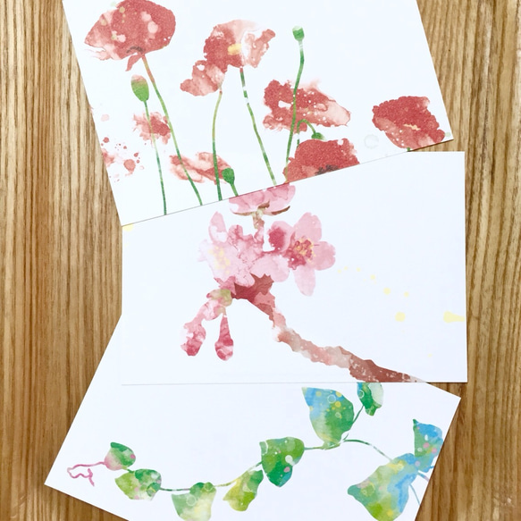 春の植物画 ポストカード 3枚セット 1枚目の画像