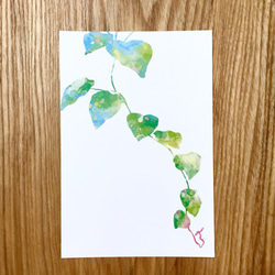 春の植物画 ポストカード 3枚セット 2枚目の画像