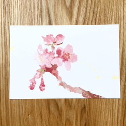 春の植物画 ポストカード 3枚セット 3枚目の画像