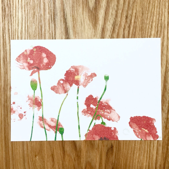 春の植物画 ポストカード 3枚セット 4枚目の画像