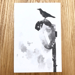 モノクロ動物ポストカード 鳥 3枚セット 3枚目の画像