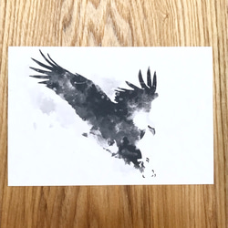 モノクロ動物ポストカード 鳥 3枚セット 4枚目の画像