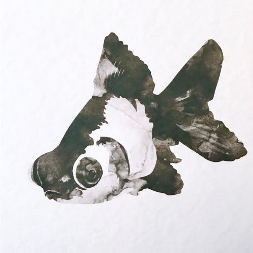 パンダ金魚 A4判 アートポスター イラスト hal0819 通販 5070955