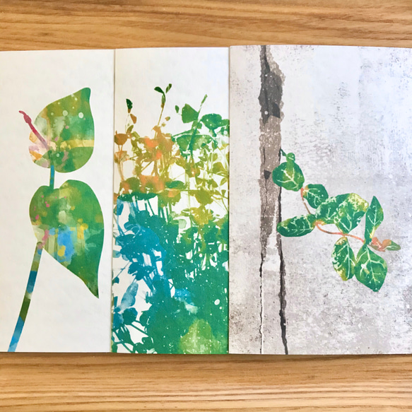 Leaf green ポストカード 3枚セット 1枚目の画像