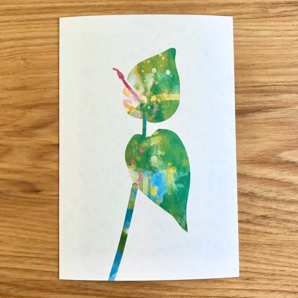 Leaf green ポストカード 3枚セット 2枚目の画像