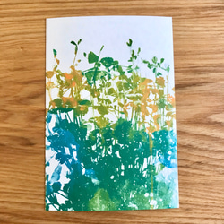 Leaf green ポストカード 3枚セット 3枚目の画像
