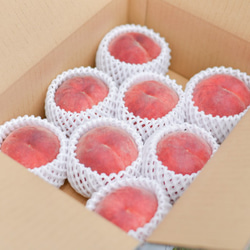 【7月末〜8月上旬出荷予定】福島県桑折町・伊達市産桃　8玉程度　あかつき 3枚目の画像