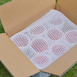 【7月末〜8月上旬出荷予定】福島県桑折町・伊達市産桃　8玉程度　あかつき 4枚目の画像