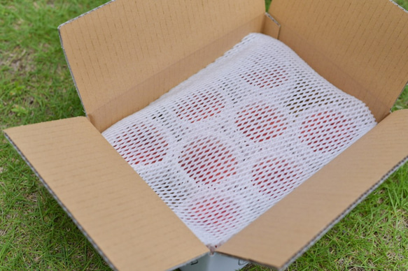 【7月末〜8月上旬出荷予定】福島県桑折町・伊達市産桃　8玉程度　あかつき 4枚目の画像