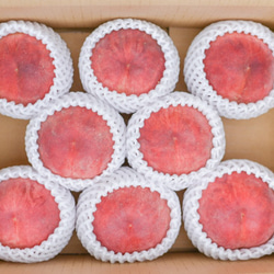 【7月末〜8月上旬出荷予定】福島県桑折町・伊達市産桃　8玉程度　あかつき 5枚目の画像