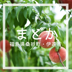 【8月上旬〜中旬頃出荷予定】福島県桑折町・伊達市産桃　8玉程度　暑中見舞い（まどか） 2枚目の画像