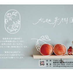 【8月上旬〜中旬頃出荷予定】福島県桑折町・伊達市産桃　8玉程度　暑中見舞い（まどか） 7枚目の画像