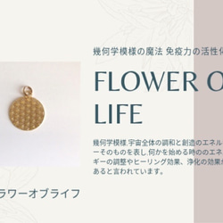 水晶ビーズ　フラワーオブライフ　シードオブライフ彫り　10mm  2個売り　天然石　 4枚目の画像