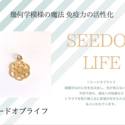 水晶ビーズ　フラワーオブライフ　シードオブライフ彫り　10mm  2個売り　天然石　 5枚目の画像