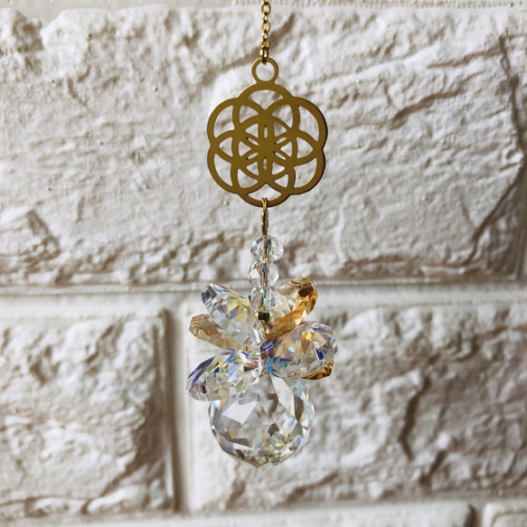 生命種子Suncatcher mini20mm激活免疫 第1張的照片