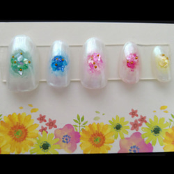 colorful ネイルチップ専門 ページ colorful ネイルチップ専門 ページ