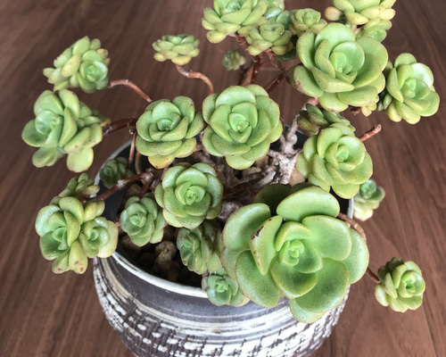 0_f6eec4d168359e63c05db9619740