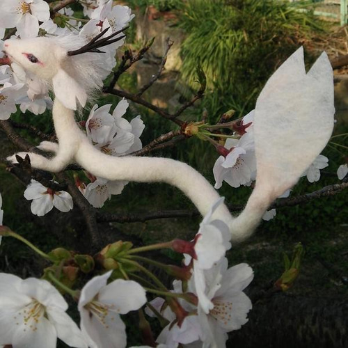 桜竜 羊毛フェルト ひつじのはね 通販 958015｜Creema(クリーマ)