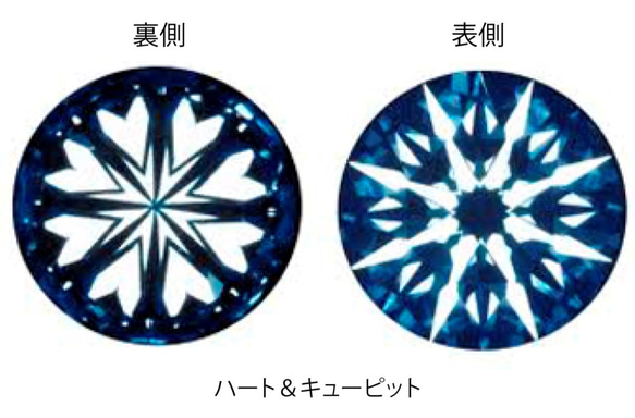 Sirius -Ring-◇K14PG×Diamond 0.017ct 7枚目の画像